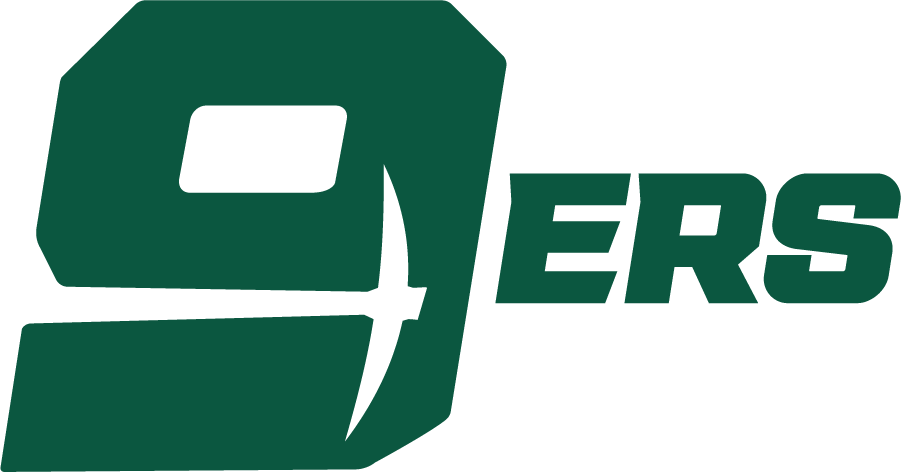 Charlotte 49ers 2020-Pres Alternate Logo v2 diy iron on heat transfer